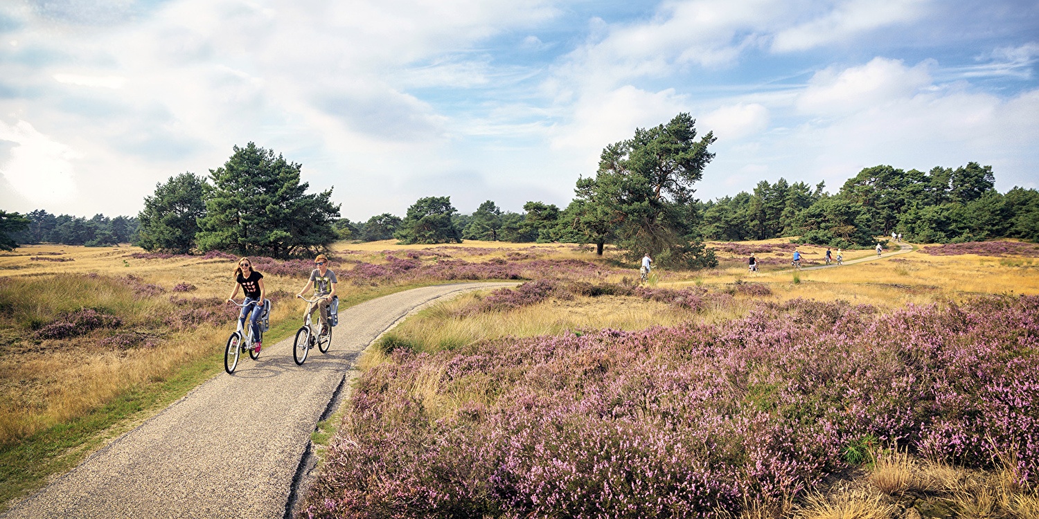 Ontdek de Beste Fiets- en Wandelroutes op de Veluwe