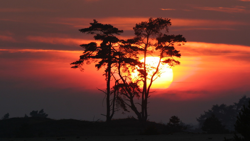 Romantisch overnachten op de Veluwe: Zo maak je het onvergetelijk