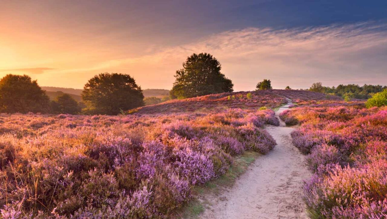 Wat moet je gezien hebben bij de veluwe?